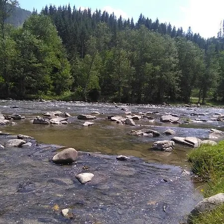 барвінок * Верховина