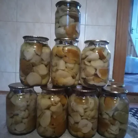 度假居 